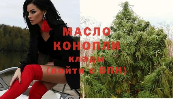 мдпв Новодвинск