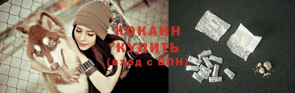 мдпв Новодвинск